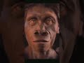 Charles Darwin’s  Theory of Human Evolution |Jethro Pie|