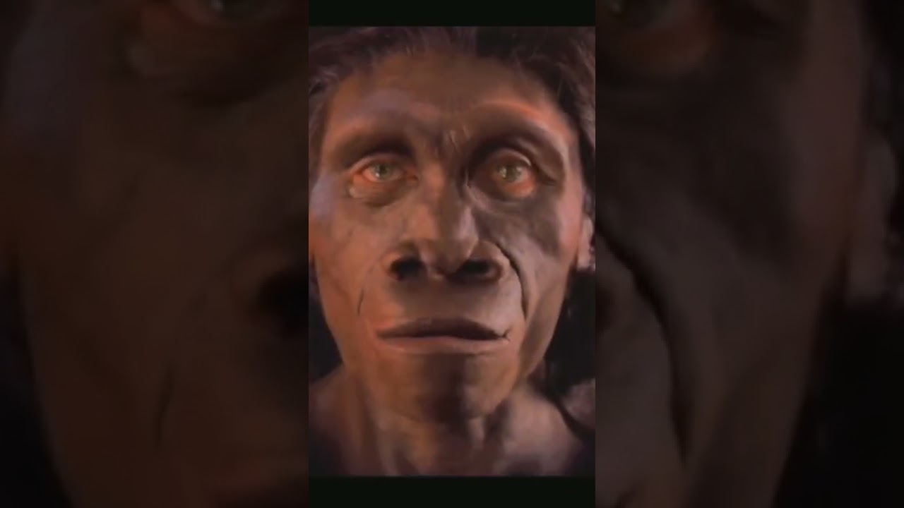 Charles Darwin’s  Theory of Human Evolution |Jethro Pie|