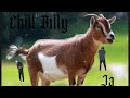 7 GOMD Remix Feat Smootheli