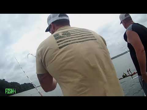 Wheeler and Nickajack TAKEDOWNS!