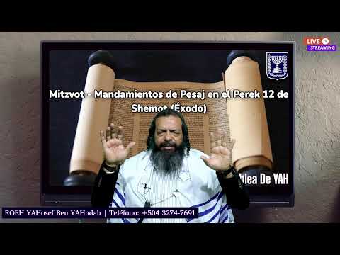 Mitzvot - Mandamientos de Pesaj en el Perek 12 de Shemot (Éxodo)