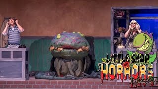 Little Shop of Horrors LIVE - Call Back In The Morning