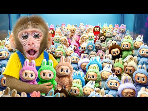 KIKI Monkey Won Every LABUBU From Labubu Vending Machine & unbox with Ducklings | KUDO ANIMAL KIKI