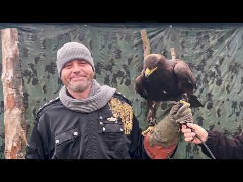 @WiseRap  - New Love (Ft. Paul Rafis) Official Video