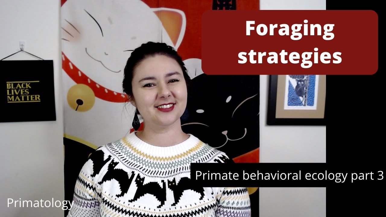 Foraging strategies