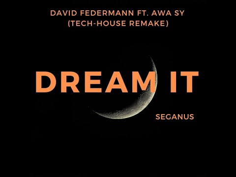 Dream It (David Federmann ft. Awa Sy) - Seganus Tech-House Remake