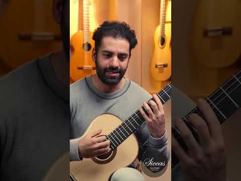 This guitar doesn’t lose power – even way up the neck! 🔥 Jouyan reviews the Luca Pollastro 2024