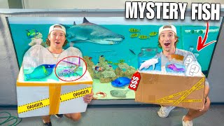 Buying STRANGE FISH OFF THE WEB For My Saltwater Pond... *1v1*
