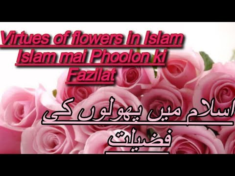 Islam me phoolo ki fazilat||virtues of flowers in islam||اسلام میں پھولوں کی فضیلت