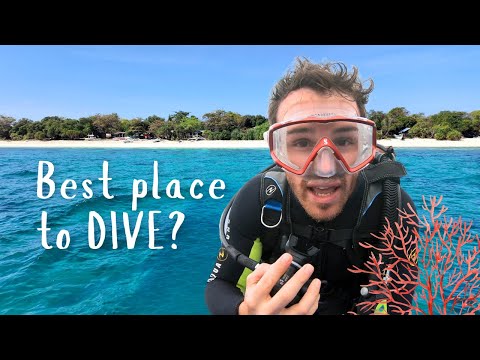 Lặn biển ở Bohol, Philippines | Địa điểm lặn biển tốt nhất (Scuba Diving in Bohol, Philippines | Best Place to Scuba Dive)