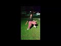 Kariyo Na Mujhse Tu Jhuthe Muthe Vade Short Youtube Short Short Video