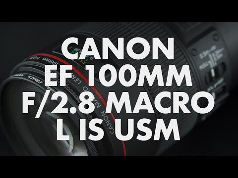 Lens Data - Canon EF 100mm f/2.8 L Macro IS USM Review