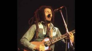 Bob Marley and the Wailers - Work live at the Bourget 1980 ( France) SBD