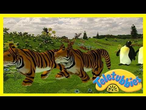 Teletubbies: Cat's Night Out - Full Episode