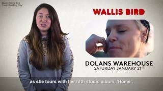 Dolans Limerick - Whats On This Week