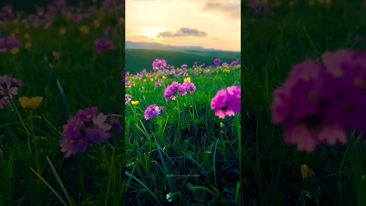 POV : The Beauty Of The Nature ( Playdate Edit ) Aesthetic Video - Lyrical Aesthetics #shorts #edit