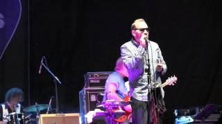 "What Have I Done Wrong" THE KINGSNAKES  7/10/15