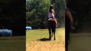 Almo at Roads End Farm