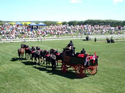 Smoking hot driving demo with my 6 horse hitch of Percherons 