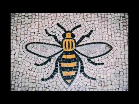 T Bizzle & Skanka - Serious