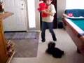 Jacker Tickle Me Elmo