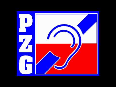 Mariah Carey - All I Want For Christmas Is You ( PZG FryAir RMX )