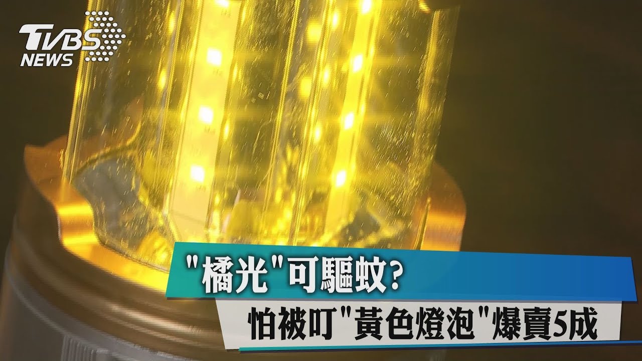 橘光可驅蚊?怕被叮 「黃色燈泡」爆賣5成