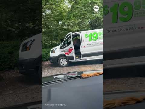 Bear caught red-handed stealing from van