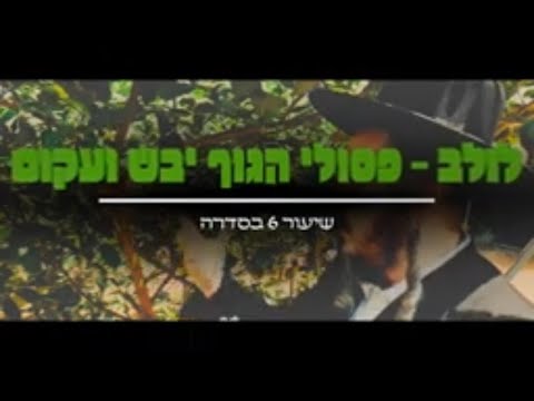 סדרת שיעורי ארבעת המינים - שיעור ו'