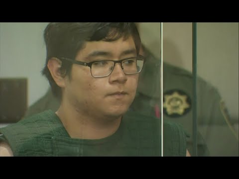 A high school senior who authorities say brought a shotgun to a Portland, Oregon, school but was tackled by a security guard before anyone was hurt has pleaded not guilty to gun-related charges. (May 20)