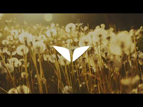 40 Minute Relaxation Music to Boost Positivity, Clear Blocks & Calm the Mind | Mindvalley Meditation