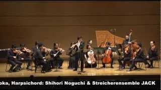Carl Philipp Emanuel Bach / Flute Concerto in a minor Wq 166; H431
