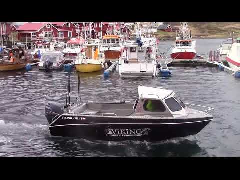 VIKING 550 HT VIKING 550 HT