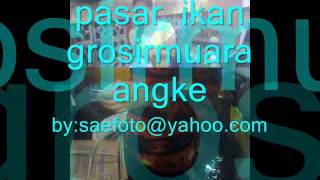 Download lagu GALERY FOTO PASAR IKAN GROSIR MUARA ANGKE mp3