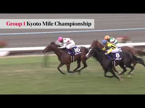 Mikki Isle - First Yearlings Sell Magic Millions 2020