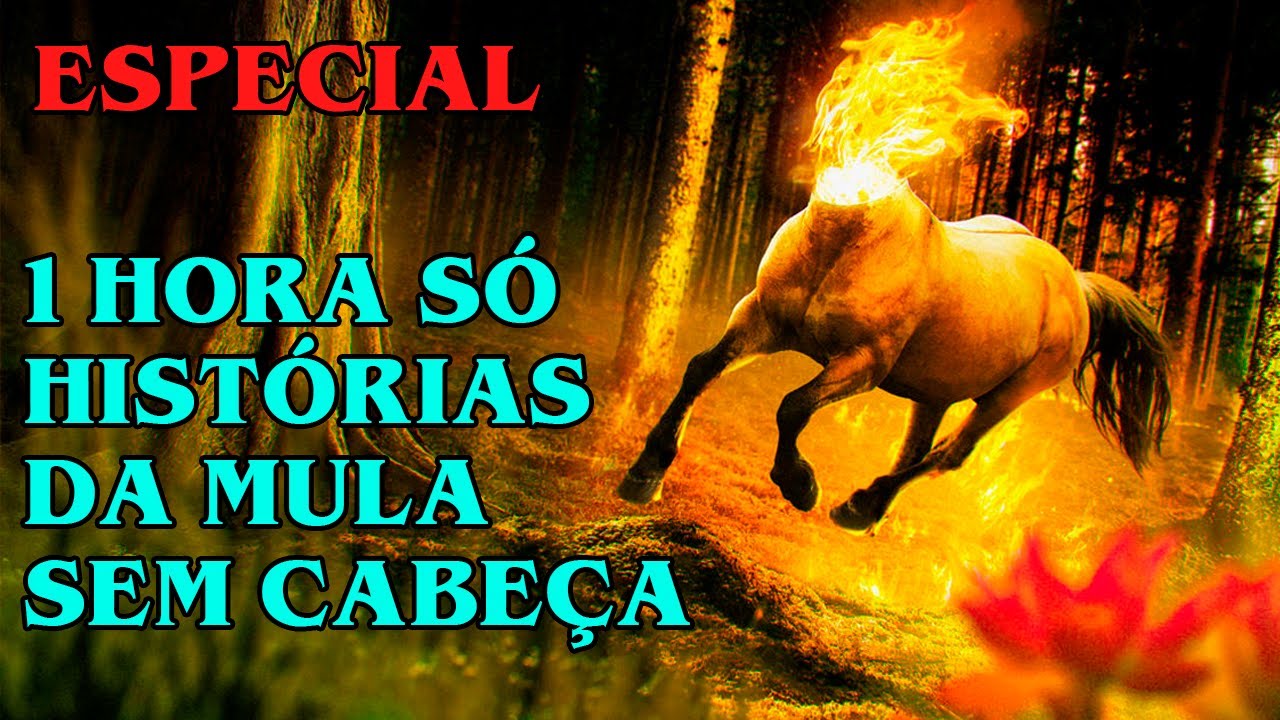 MULA SEM CABEÇA 1 HORA DE HISTÓRIAS