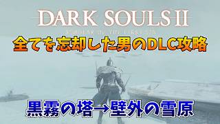 記憶が消し飛んでいる男のDLC攻略【ダークソウル2 黒霧の塔～壁外の雪原】