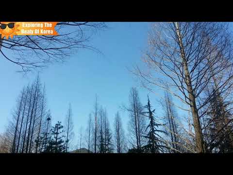 Early spring beauty with Forever Instrumental by: Ahn Jea Wook