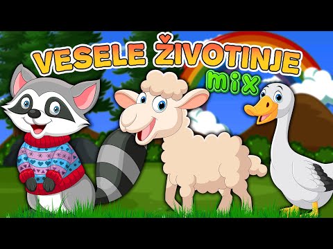 Vesele životinje MIX 💛 Životinje za decu MIX 💚 Najlepše pesmice za decu ❤️️ Nove dečije pesme💜