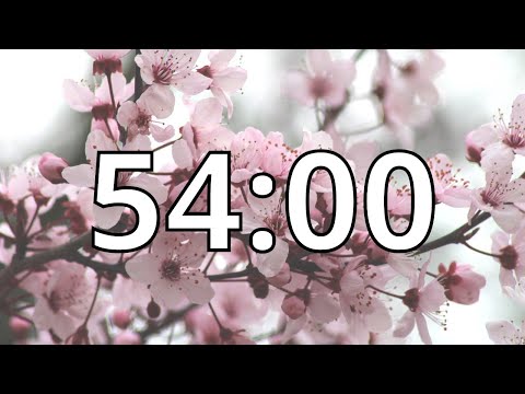 54 Minutes Timer with Music | Cherry Blossom Timer