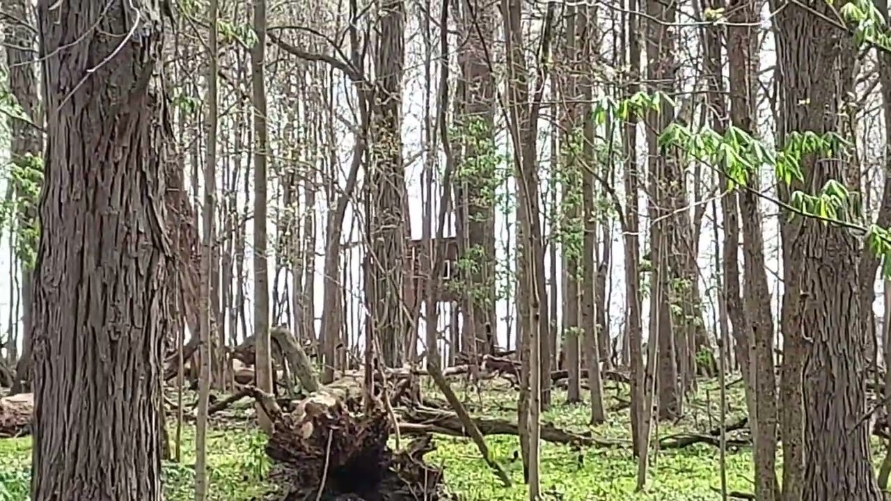 Hunting Darke County: Why Ohio Acreage Offers Year-Round Value