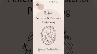 Download lagu Anterior & Posterior Positioning #childbirth #laboranddelivery #hospitalbirth #homebirth mp3