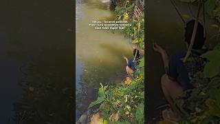 Download lagu STORY WA || ALASAN TEMANKU #mancing #storywa #lucu #lucuabis #lucungakak #luculucu #lucuviral mp3 Download lagu STORY WA || ALASAN TEMANKU #mancing #storywa #lucu #lucuabis #lucungakak #luculucu #lucuviral mp3