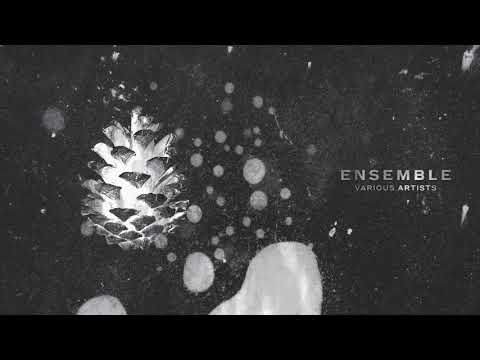 Dexter Crowe - Kedobi Ft. Ra*faelle | Ensemble [Saisons Musique]