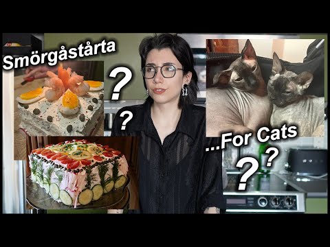 The Quest To Make A Swedish Sandwich Cake For Cats