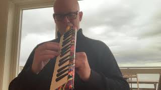 Video thumbnail for Hohner Airboard vs vintage Hohner Piano 26 by Tor Einar Bekken / Dr Bekken