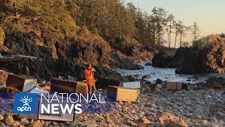 Debris from cargo ship gathering on beaches on B.C. Island coast | APTN News