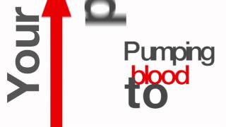 Scorpions, The good Die Young