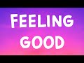 Michael Buble Feeling Good Lyrics