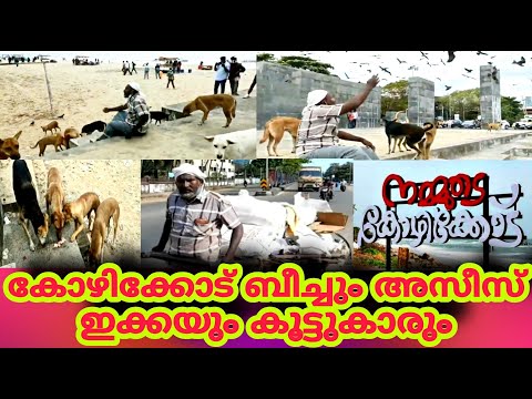 33 years Raised Azeez ikka feeds eagles at kozhikode beach #calicutbeach  #samvlogz @dietkozhikode7207